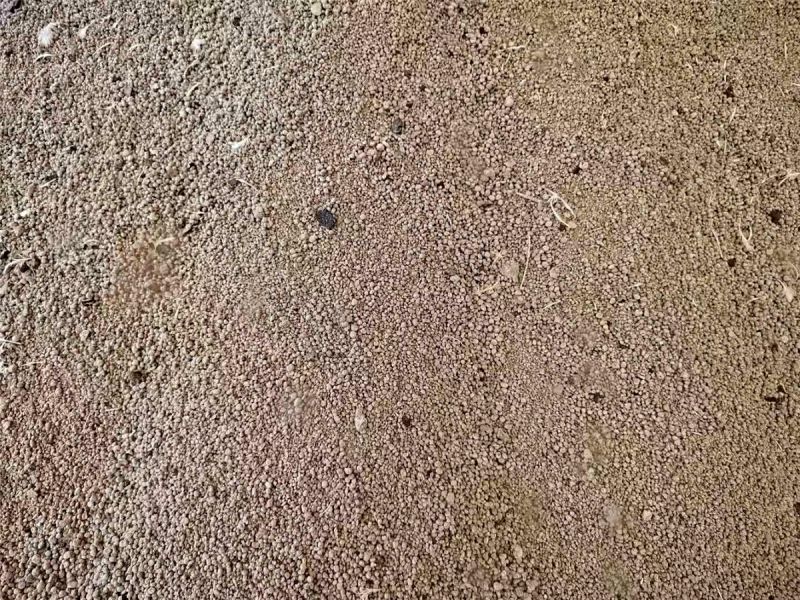 雞糞烘干設備安裝效果